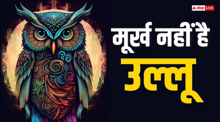 Hindu Dharm: उल्लू (Owl) को आमतौर पर लोग मूर्ख पक्षी मानते हैं और इसे अपशकुन से जोड़ा जाता है. लेकिन हिंदू संस्कृति में उल्लू का विशेष स्थान है और इसे शुभ पक्षी माना गया है जो मां लक्ष्मी की सवारी है.