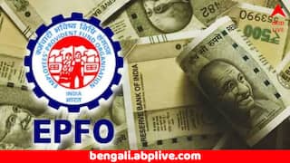 EPFO: প্রভিডেন্ট ফান্ড থেকে কত টাকা তুলে নিলে আর মিলবে না পেনশন ? কী রয়েছে নিয়ম ?