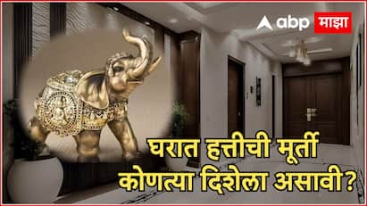 Vastu Tips : वास्तूशास्त्रात प्रत्येक गोष्टीसाठी वेगवेगळे नियम आणि उपाय सांगितले जातात. त्याचप्रमाणे घरात हत्ती नेमका कोणत्या दिशेला असावा या संदर्भात देखील विविध नियम सांगण्यात आले आहेत.