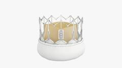 India Shines At London Valves 2024: Meril's Groundbreaking Leap In Heart Valve Innovation “Myval Octapro THV” Showcased At GISE 2024 And PCR London Valves