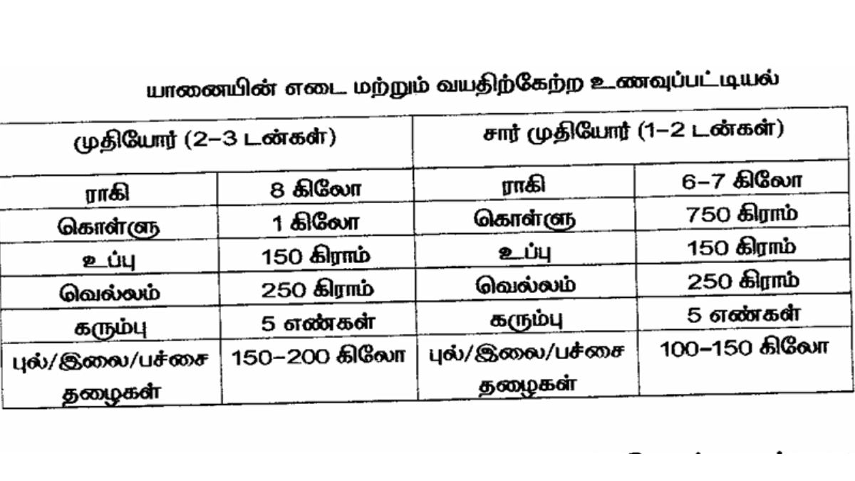 இனி கோயில் யானையிடம் ஆசிர்வாதம் பெறமுடியாது.!பக்தர்களுக்கு கடும் கட்டுப்பாடுகள்! 39 உத்தரவுகள்.!