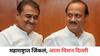 NCP Ajit Pawar: महाराष्ट्रात जिंकलं, आता आता मिशन दिल्ली; प्रफुल्ल पटेलांनी सांगितली राष्ट्रवादीची पुढची रणनीती