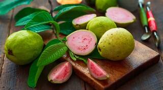 ਮੇਲਿਆਂ ‘ਚ ਅਮਰੂਦਾਂ ਨੂੰ ਕੌਣ ਪੁੱਛਦਾ ਪਰ ਤੁਸੀਂ ਪੁੱਛ ਲਓ, ਬਿਮਾਰੀਆਂ ਤੋਂ ਹੋ ਜਾਓਗੇ ਮੀਲਾਂ ਦੂਰ, ਜਾਣੋ ਕੀ ਮਿਲਣਗੇ ਫਾਇਦੇ ?