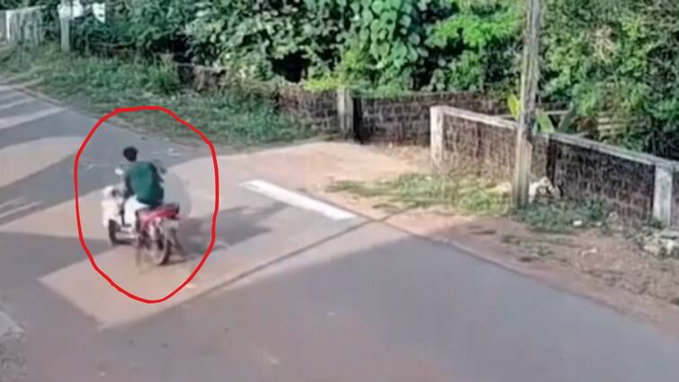 Caught On Camera: 7-Year-Old Boy Crossing Street, Hit By Speeding Vehicle In Mangaluru