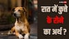 Dog Crying: रात में कुत्ते के रोने का मतलब क्या होता है?