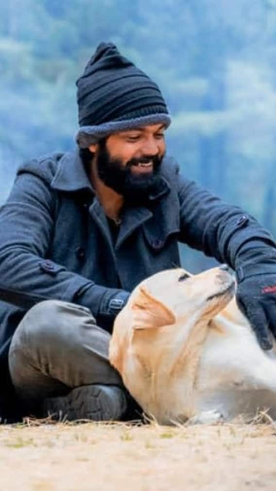 777 Charlie To Kirik Party: 5 Highest Grossing Films Of Rakshit Shetty