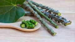 Essential Herbs To Strengthen Your Health This Winter