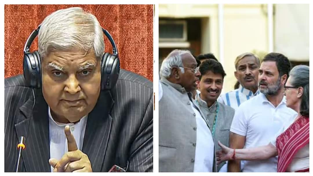 Rajya Sabha Chairman Jagdeep Dhankhar says Parliamentary disruption is not a remedy it is a malady