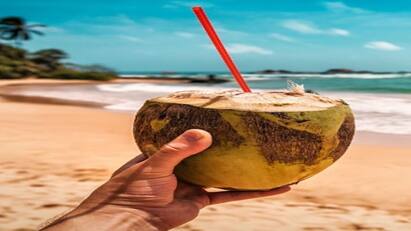 Coconut water :  વાળ અને સ્કીન માટે પણ ખૂબ જ ફાયદાકારક છે નારિયેળ પાણી, જાણો પીવાનો યોગ્ય સમય