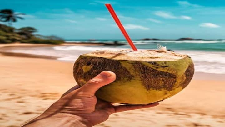 Coconut water :  વાળ અને સ્કીન માટે પણ ખૂબ જ ફાયદાકારક છે નારિયેળ પાણી, જાણો પીવાનો યોગ્ય સમય