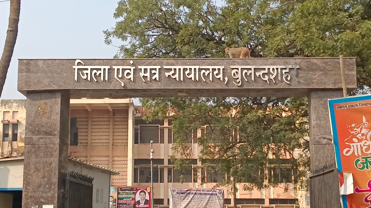 बुलंदशहर: मधुमक्खी के डब्बे चोरी करना पड़ा भारी, कोर्ट ने चोर को सुनाई 5 साल की सजा