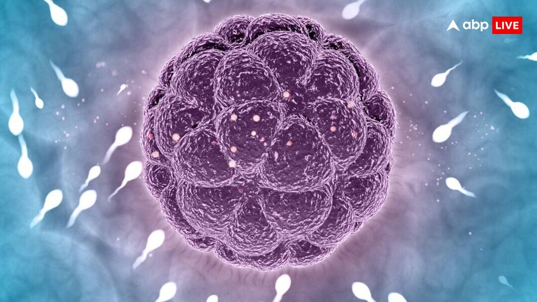 male fertility problems can any diseases affect sperm count क्या किसी बीमारी का आपके स्पर्म काउंट पर पड़ता है असर? जान लीजिए जवाब