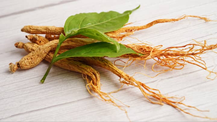 5. Ginseng: Ginseng enhances energy levels, reduces fatigue, and supports the immune system. It is known to combat cold related stress and boost overall vitality in winter. (Image Source: Canva)