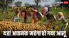 Potato Rate: आलू की कीमतें यहां अचानक बढ़ीं, दाम उछलने के पीछे है ये बड़ी वजह