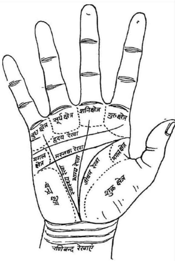 पूर्णपणे शास्त्राच्या हस्तरेषांवर अवलंबून न राहता आपल्या कौशल्य, शिक्षण, अनुभव आणि मेहनतीवर विश्वास असावा.