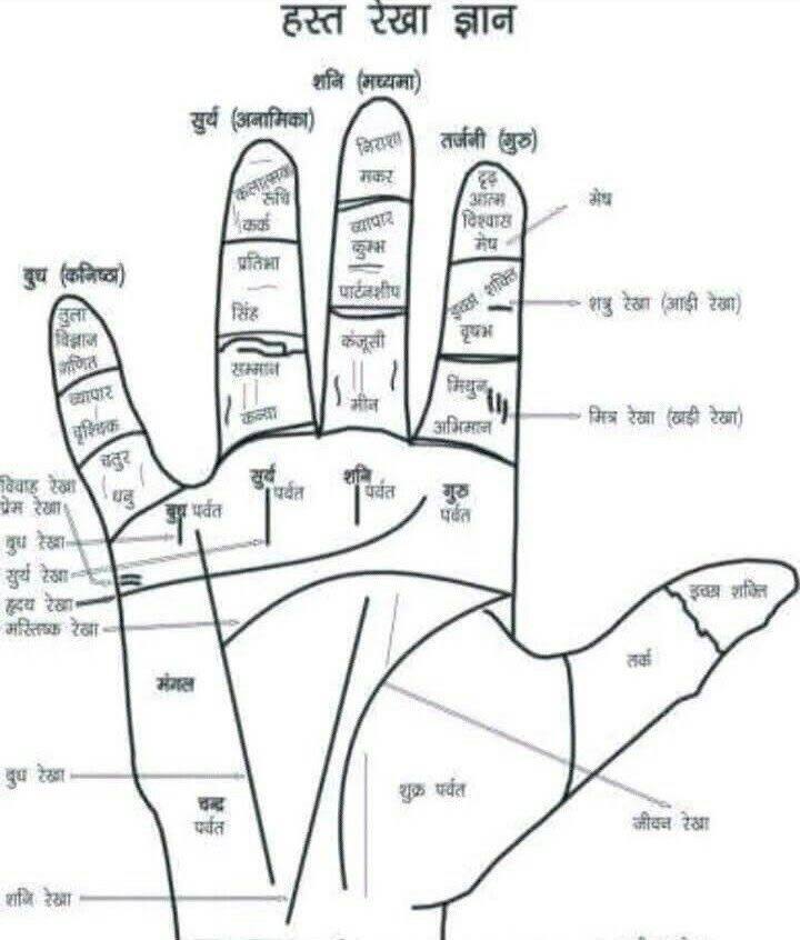 भाग्यरेषा म्हणजेच मध्यमा बोटाखाली जाणारी हि रेखा सरकारी नोकरी किंवा उच्च पदाची संधी दर्शवते.