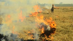 Andhra Pradesh Launches WhatsApp Service For Instant Paddy Procurement Booking