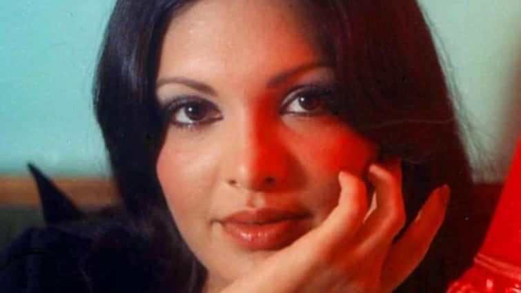 When Parveen Babi Spoke About Doing 12- 20 Films At A Time: Where Else Can You Sit...