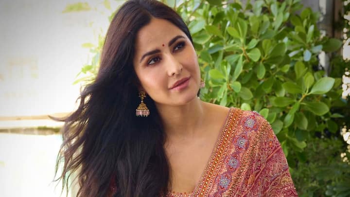 Katrina Kaif Hair Care Tips: অনেকেরই ধারণা রয়েছে চুলে তেল লাগালে নাকি চুল নষ্ট হয়ে যায়। তবে জানেন কী, ক্যাটরিনা কিন্তু নিয়মিত চুলে তেল লাগান। সাধারণ চুলে অলিভ অয়েল ব্যবহার করেন ক্যাটরিনা।