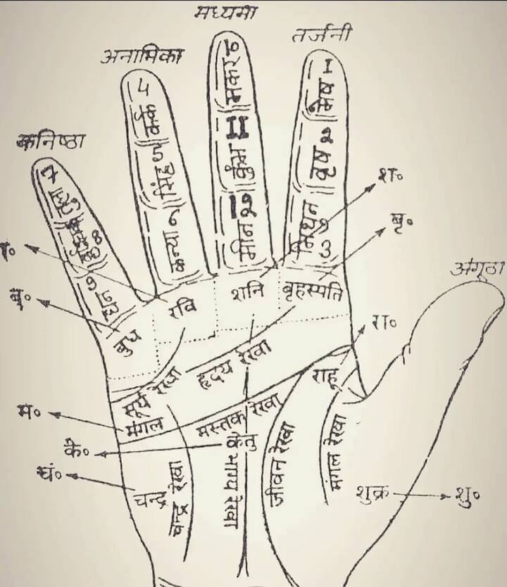 त्रिकोण, शंख किंवा चक्र असे चिन्हे असल्यास ते सरकारी नोकरी किंवा उच्च पदासाठी शुभ मानले जाते.