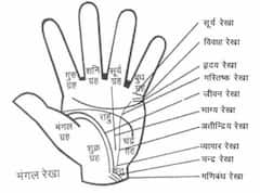 हस्त रेखा पाहून अंदाज लावा कि तुम्हाला सरकारी का खासगी क्षेत्रात नोकरी मिळणार !