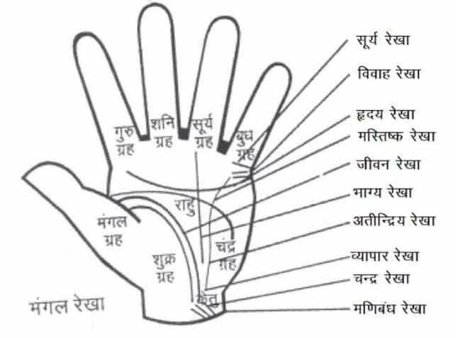 सूर्यरेषा स्पष्ट असेल तर प्रसिद्धी आणि यशाची शक्यता असते.