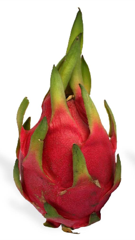 ड्रॅगन फ्रुट आहे भरपूर फायदेशीर