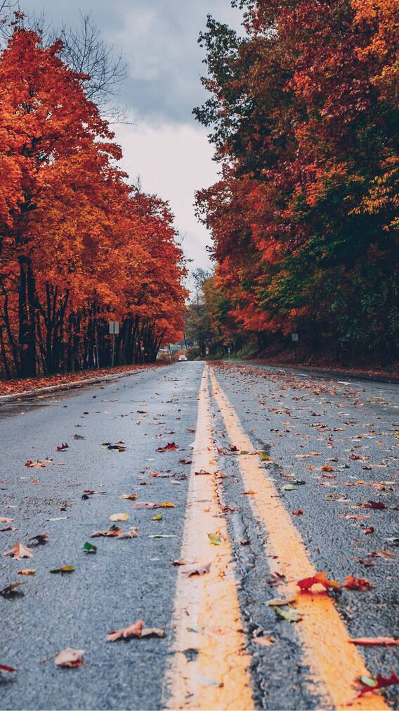 9 Scenic Road Trips In South India That Redefine Wanderlust