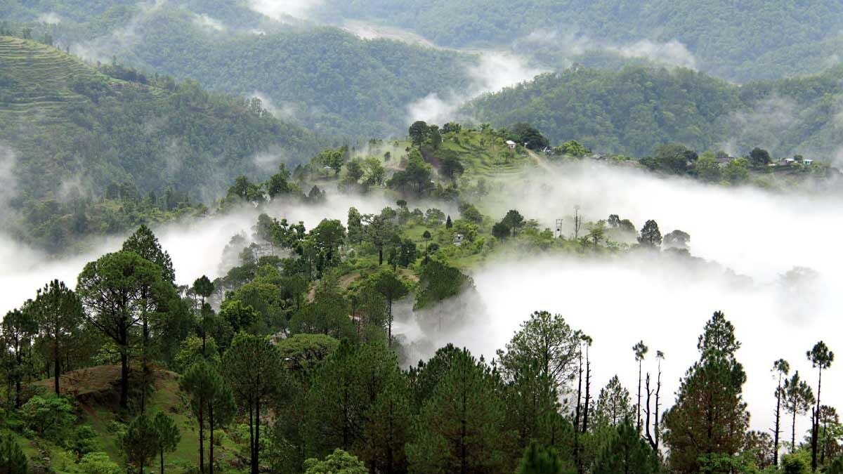 Maharashtra Hidden Places: 'अरेच्चा..! महाराष्ट्रात लपलेले 'हे' सुंदर हिल स्टेशन माहितच नव्हते!' अनेकांच्या नजरेपासून दूर, एकदा बघाल तर प्रेमातच पडाल