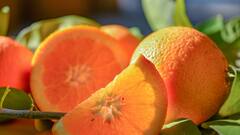 Orange:व्हिटॅमिन सीचा समृद्ध स्रोत; जाणून घेऊया संत्र खाण्याचे अनेक फायदे!