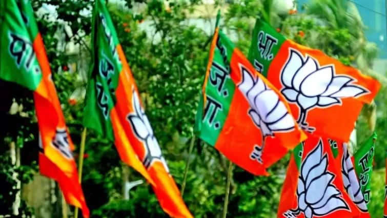 BJP Forms 17-Member Election Committee Ahead Of Delhi Assembly Polls. Check Details