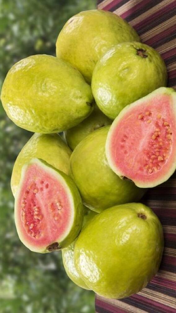 हिवाळ्यामध्ये भाजलेला पेरु खाण्याचे फायदे!