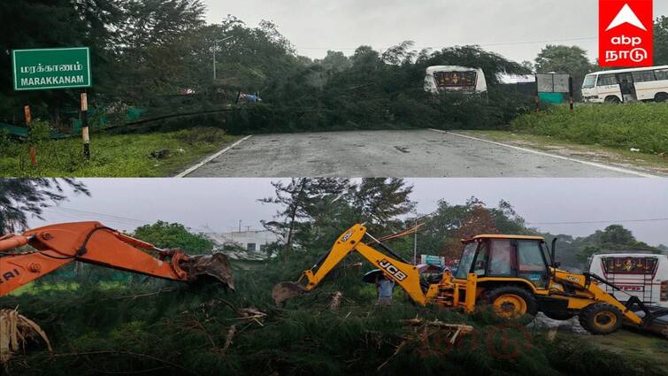 Fengal cyclone Trees have fallen on East Coast Road in Marakanam tnn ஃபெஞ்சல் புயல் : சுளுக்கு எடுக்கும் சூறாவளி காற்று... சாலையில் விழும் மரங்கள்; ஸ்தம்பிக்கும் ECR
