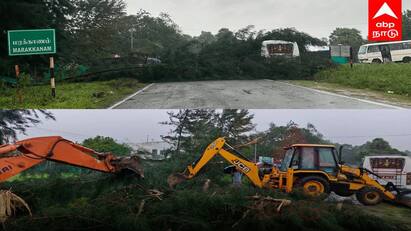 Fengal cyclone Trees have fallen on East Coast Road in Marakanam tnn ஃபெஞ்சல் புயல் : சுளுக்கு எடுக்கும் சூறாவளி காற்று... சாலையில் விழும் மரங்கள் ஸ்தம்பிக்கும் ECR