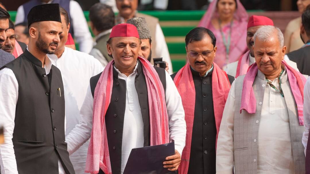Sambhal Violence Samajwadi Party Delegation Stop Akhilesh Yadav Mata Prasad Pandey Harendra Malik Angry 'लोगों पर गोली चलाई...सरकार की तानाशाही', संभल जाने से रोका तो भड़क उठे सपा के नेता
