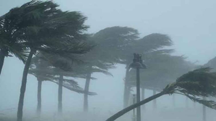 Fengal Cyclone heavy rain with strong winds chennai people scaring know details Fengal Cyclone: பேய்மழை! விடாமல் வீசும் சூறைக்காற்று! திக்.. திக்.. கதியில் சென்னைவாசிகள்!