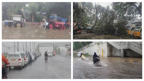 Fengal Cyclone: வெள்ளக் காடாய் மாறிய சாலைகள்! புயலில் சாய்ந்த மரங்கள் - சென்னையை திணறடித்த ஃபெஞ்சல்
