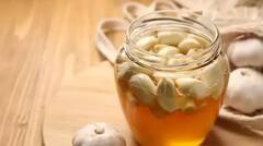 Honey Garlic Benefits : મધ અને લસણના સેવનથી થશે આ ચમત્કારીક ફાયદા, જાણી લો