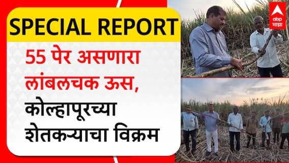 Kolhapur Farmers Special Report :55 पेर असणारा लांबलचक ऊस, कोल्हापूरच्या शेतकऱ्याचा विक्रम