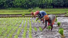 इन किसानों की अटक सकती है अगली किस्त के पैसे, जल्द से जल्द पूरे कर लें ये काम