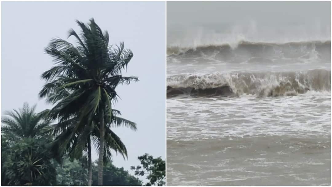 Fengal cyclone: சுழற்றி அடிக்கும் சூறைக்காற்று... கொந்தளிக்கும் கடல்; தாக்குபிடிக்குமா மரக்காணம்? Fengal cyclone Fishermen fear sea rage in Marakanam area tnn Fengal cyclone: சுழற்றி அடிக்கும் சூறைக்காற்று... கொந்தளிக்கும் கடல்; தாக்குபிடிக்குமா மரக்காணம்?