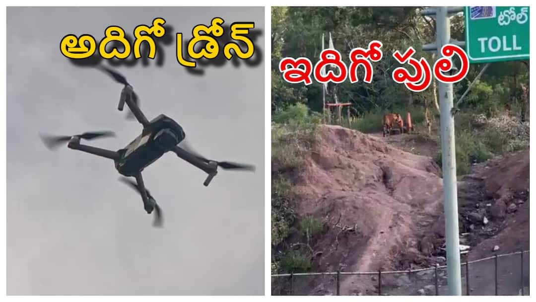 kumram bheem asifabad district forest Officials deployed drones to track tigers in Kagaznagar Komaram Bheem Asifabad District News: కుమ్రంభీం ఆసీఫాబాద్‌ జిల్లా కాగజ్‌నగర్‌లో పులి పని పట్టేందుకు కొత్త ఎత్తుగడ- రంగంలోకి దిగిన డ్రోన్ సైన్యం