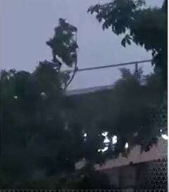 Cyclone Fengal In India: चक्रवात फेंगल के प्रभाव से चेन्नई में तेज हवा और बारिश