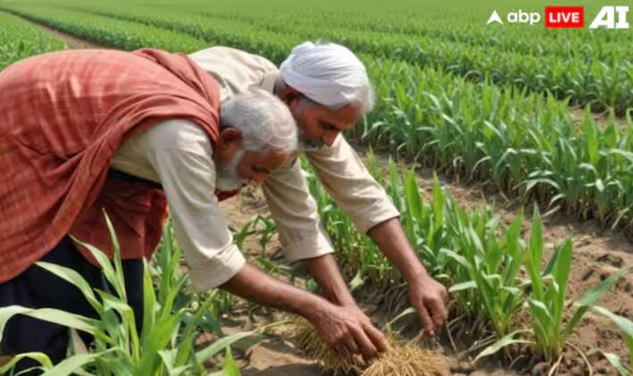 ਜੇਕਰ ਤੁਸੀਂ ਪ੍ਰਧਾਨ ਮੰਤਰੀ ਕਿਸਾਨ ਸਨਮਾਨ ਨਿਧੀ ਯੋਜਨਾ  (PM Kisan Yojana) ਦੇ ਲਾਭਪਾਤਰੀ ਹੋ, ਤਾਂ ਤੁਹਾਡੇ ਲਈ ਕੁਝ ਗੱਲਾਂ ਨੂੰ ਜਾਣਨਾ ਬਹੁਤ ਜ਼ਰੂਰੀ ਹੈ। ਇਸ ਸਕੀਮ ਰਾਹੀਂ ਸਰਕਾਰ ਵੱਲੋਂ ਕਿਸਾਨ ਭਰਾਵਾਂ ਨੂੰ ਵਿੱਤੀ ਸਹਾਇਤਾ ਦਿੱਤੀ ਜਾਂਦੀ ਹੈ। ਪ੍ਰਧਾਨ ਮੰਤਰੀ ਕਿਸਾਨ ਸਨਮਾਨ ਨਿਧੀ ਯੋਜਨਾ ਦੇ ਤਹਿਤ, ਸਰਕਾਰ ਹਰ ਸਾਲ ਕਿਸਾਨਾਂ ਨੂੰ 6 ਹਜ਼ਾਰ ਰੁਪਏ ਦੀ ਵਿੱਤੀ ਸਹਾਇਤਾ ਪ੍ਰਦਾਨ ਕਰਦੀ ਹੈ, ਜੋ ਕਿ ਤਿੰਨ ਕਿਸ਼ਤਾਂ (2-2 ਹਜ਼ਾਰ ਰੁਪਏ) ਵਿੱਚ ਦਿੱਤੀ ਜਾਂਦੀ ਹੈ।