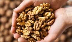 ખાલી પેટ અખરોટના સેવનથી આ બીમારીઓ તમારાથી રહેશે દૂર, જાણો ફાયદા 