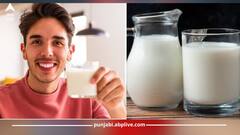 ਆਓ ਜਾਣਦੇ ਹਾਂ ਦੁੱਧ ਸਾਡੇ ਲਈ ਕਦੋਂ, ਕਿਉਂ ਅਤੇ ਕਿੰਨਾ ਜ਼ਰੂਰੀ ਹੈ? ਸਿਹਤ ਮਾਹਿਰਾਂ ਤੋਂ ਜਾਣ ਲਓ ਫਾਇਦੇ