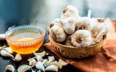 Honey Garlic Benefits : મધ અને લસણના સેવનથી થશે આ ચમત્કારીક ફાયદા, જાણી લો