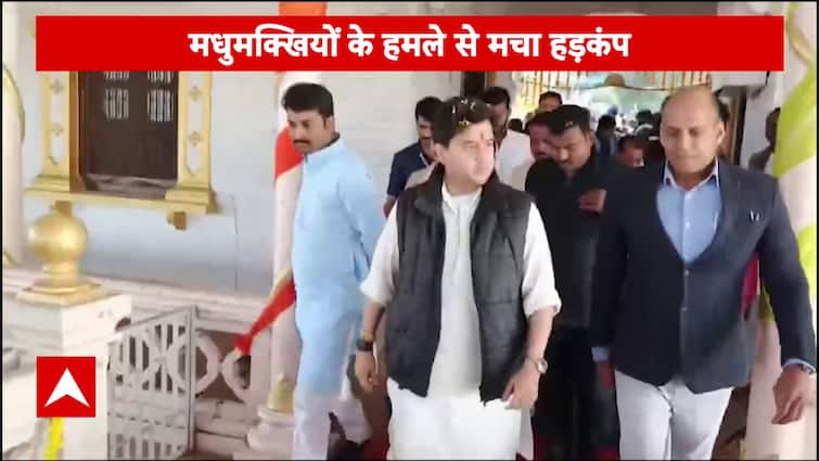 Breaking News: Bee Attack Sparks Chaos at Jyotiraditya Scindia's Event in Shivpuri | ABP News