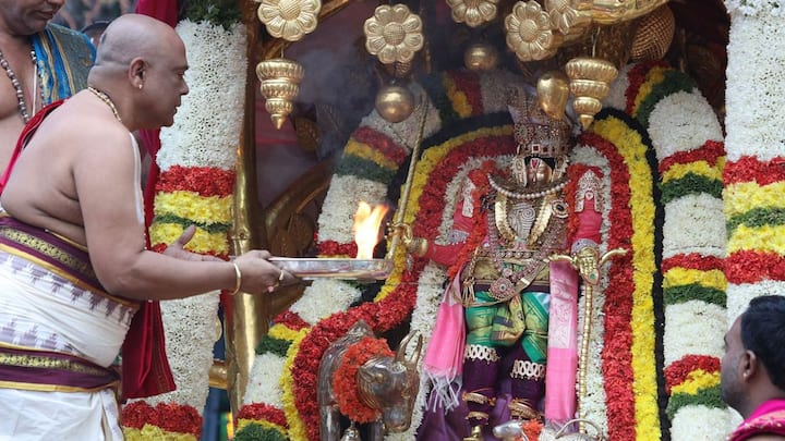 Karthika brahmotsavam at Tiruchanoor : రాజమన్నార్ స్వామి అలంకారంలో కల్పవృక్ష వాహనంపై సిరులతల్లి తిరుచానూరు శ్రీ పద్మావతి అమ్మవారు భక్తులకు దర్శనం ఇచ్చారు.