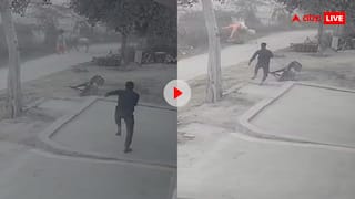 आवारा सांड का आतंक! राह चलती महिला को सांड ने हवा में उछाला, वीडियो देख दहल जाएगा दिल